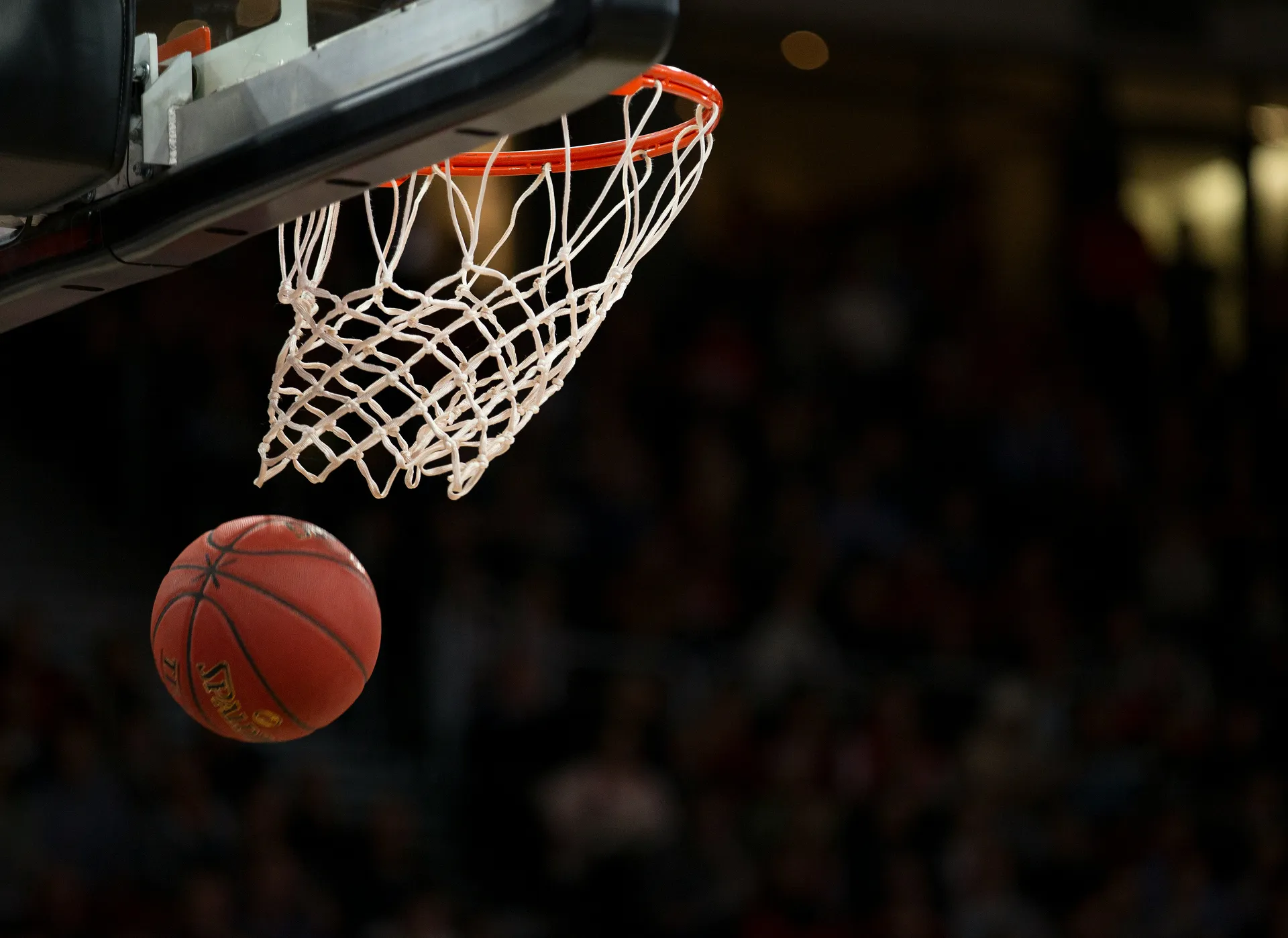 Gros plan sur un panier et un ballon de basket